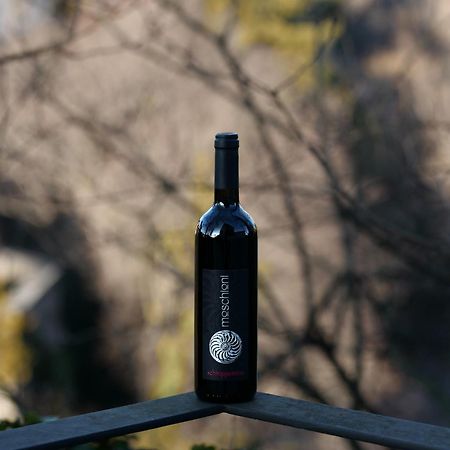Azienda Agricola Moschioni Cividale del Friuli Екстериор снимка
