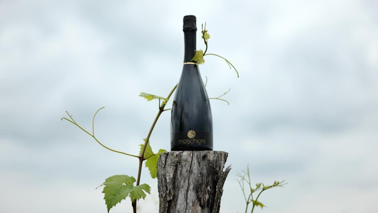 Azienda Agricola Moschioni Cividale del Friuli Екстериор снимка