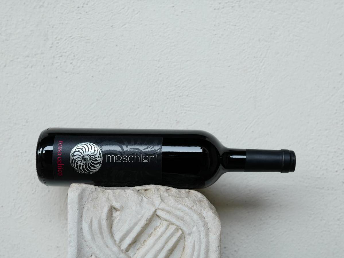 Azienda Agricola Moschioni Cividale del Friuli Екстериор снимка