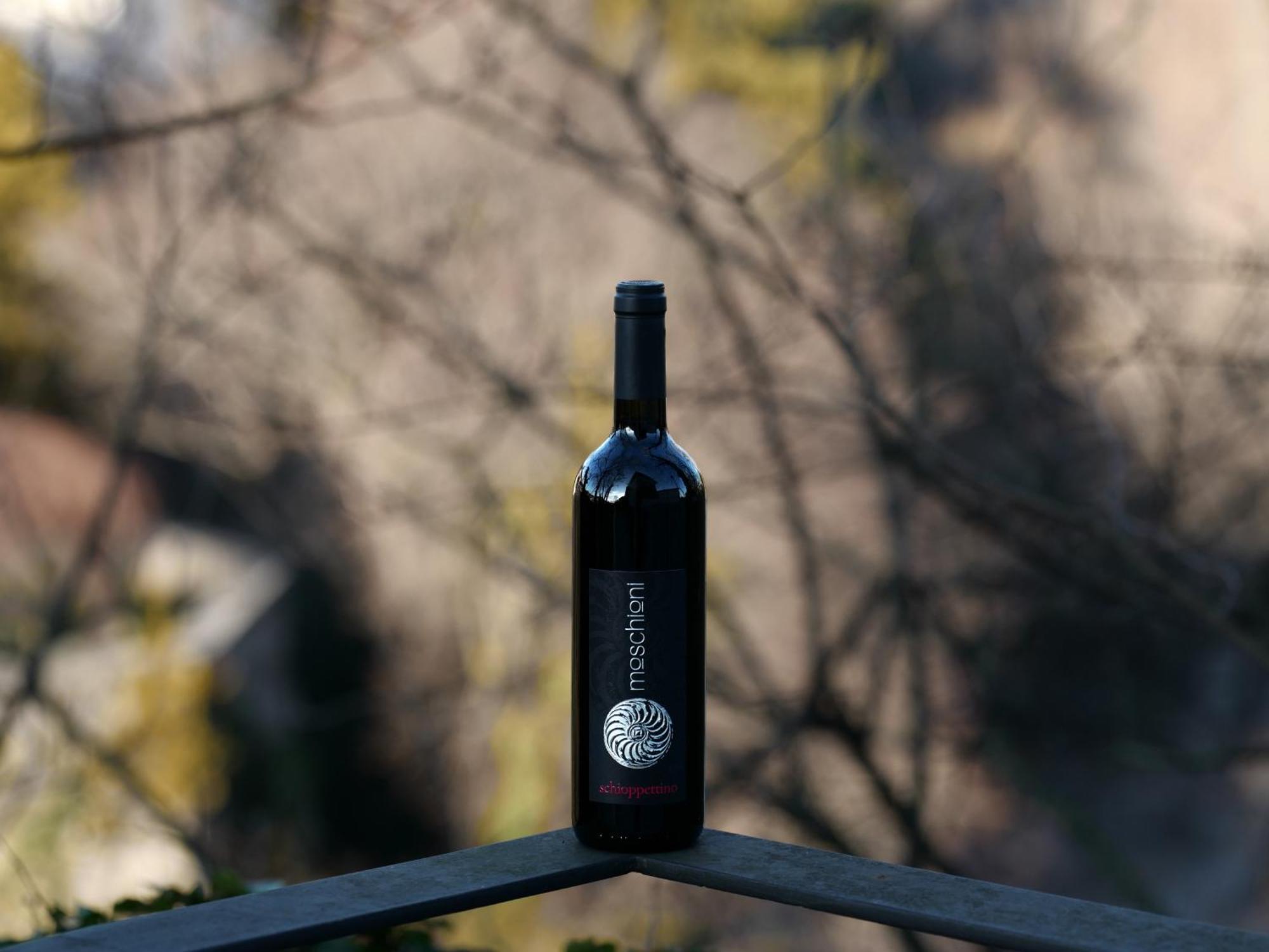 Azienda Agricola Moschioni Cividale del Friuli Екстериор снимка